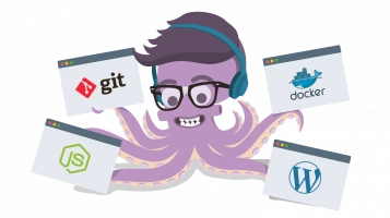 Plesk Octopus, Git, Docker, JS, WordPress