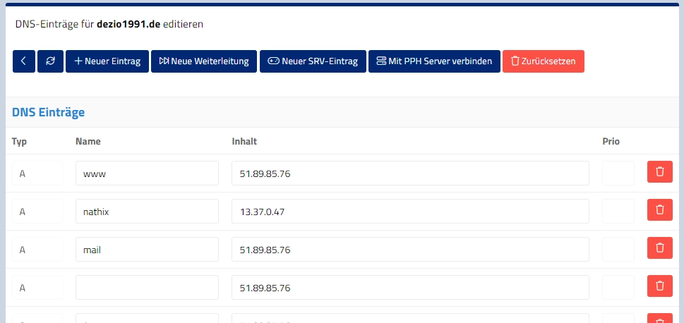 DNS Manager mit Record-Einträgen